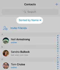 在 iOS 上为联系人排序