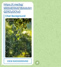 包含 Telegram 背景的消息